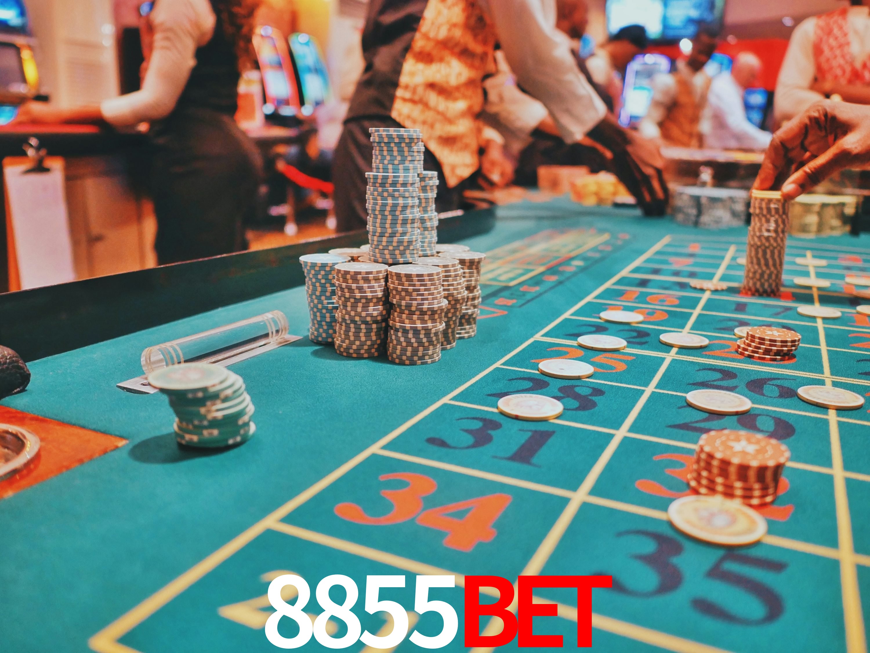 Avaliações dos Jogadores 8855BET